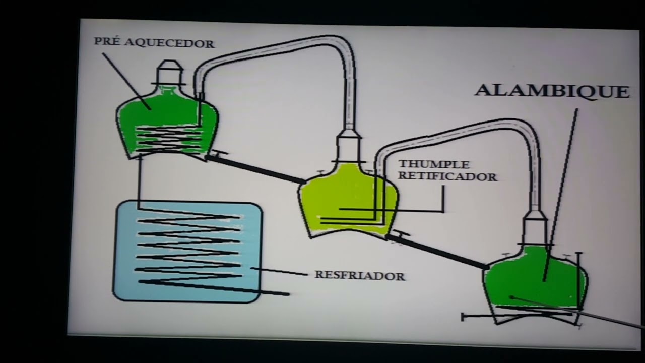 Guia para o Armazenamento Adequado de Cápsulas Vaping