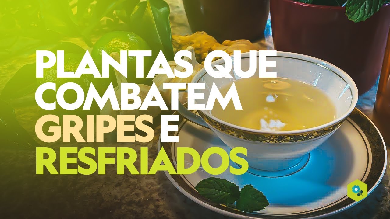 Aromaterapia com Vape de Anis Estrelado: Benefícios e Uso