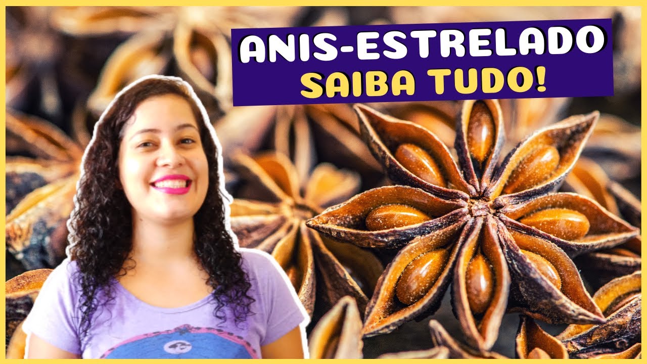 Deliciosas Receitas com Anis Estrelado