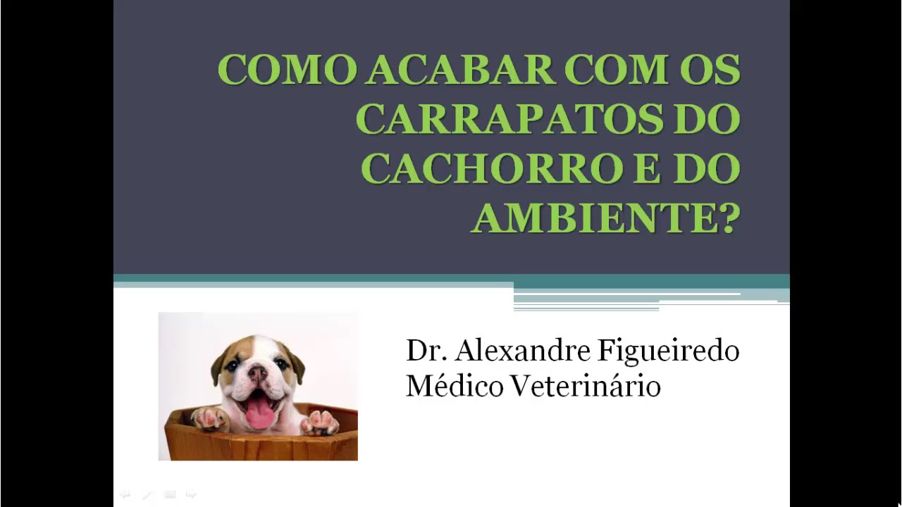 Como Prevenir Problemas Mentais Relacionados ao Vapear